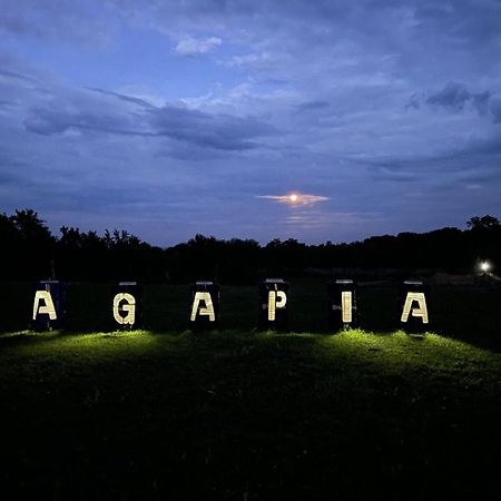 ホテル Glamping Agapia Agapescu エクステリア 写真